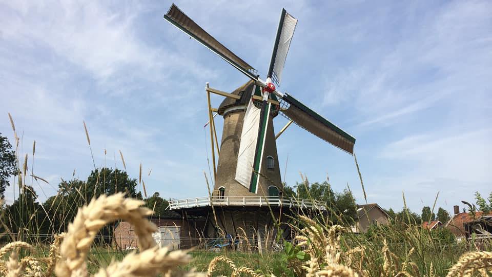 molen-d-arke